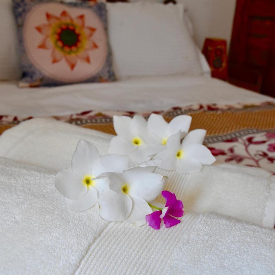 Jasmin Villa Хампи Экстерьер фото